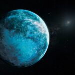 New World Discovered // Ammonite