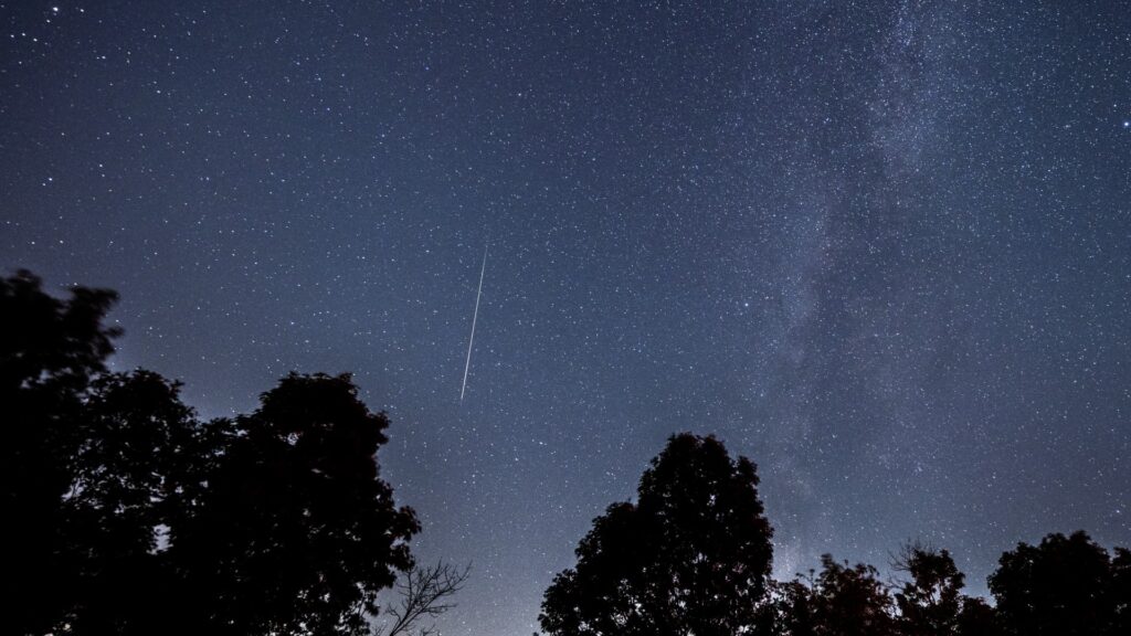 Perseid Meteor Shower