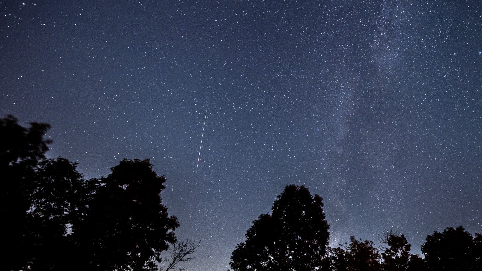 Perseid Meteor Shower