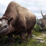 24M-Year Rhino // Proteins Unlock Evolution