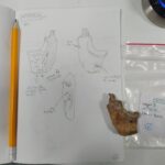 Cave Neighbors, Different // Traditions